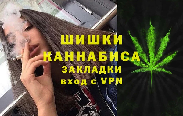 стафф Богданович