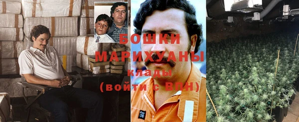 спайс Белокуриха
