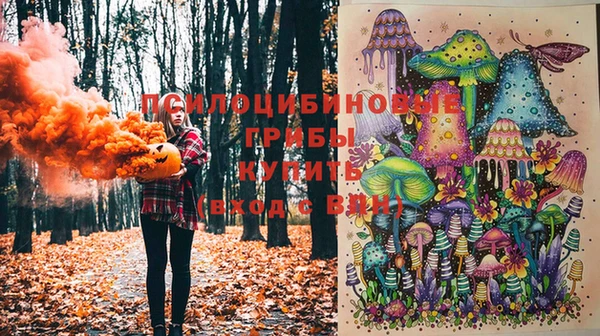 MDMA Богородицк
