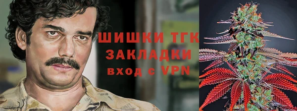 mdpv Богородск