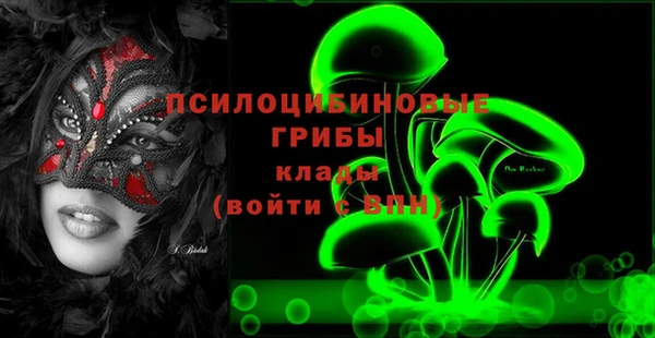 стафф Богданович